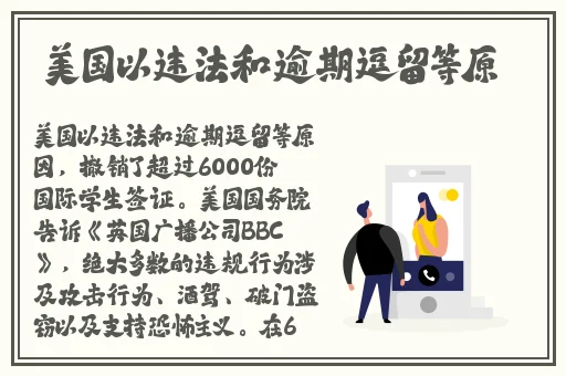 男人插曲视频大全免费必须